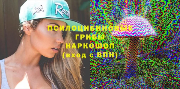 МДПВ Новозыбков