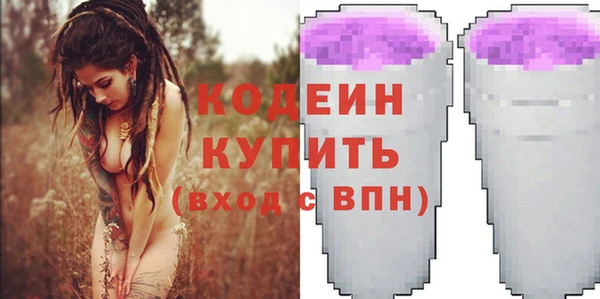 соль ск Новодвинск