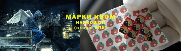 соль ск Новодвинск