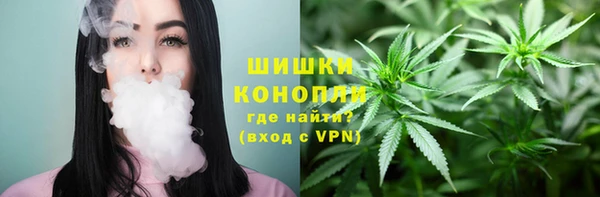 соль ск Новодвинск
