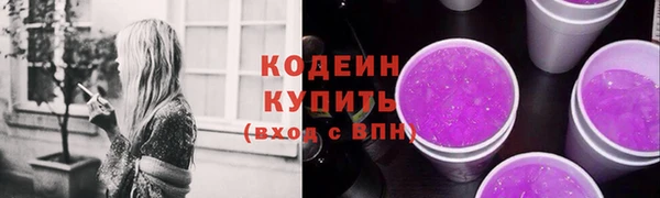 соль ск Новодвинск