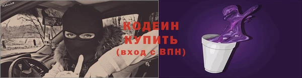 соль ск Новодвинск