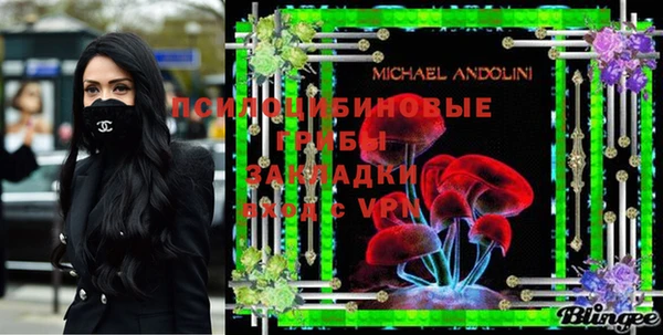 ГАЛЛЮЦИНОГЕННЫЕ ГРИБЫ Новокубанск