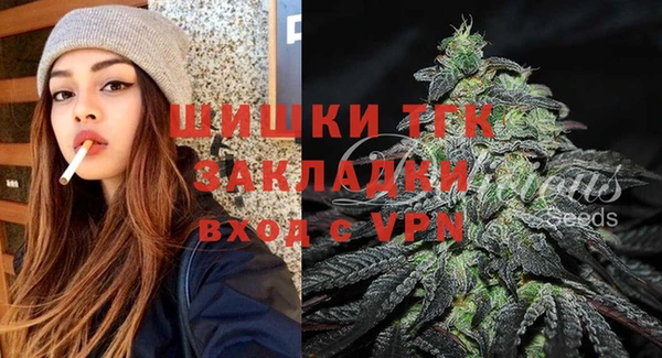 МДПВ Новозыбков