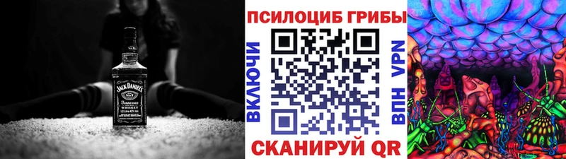 blacksprut зеркало  Наволоки  Псилоцибиновые грибы GOLDEN TEACHER 